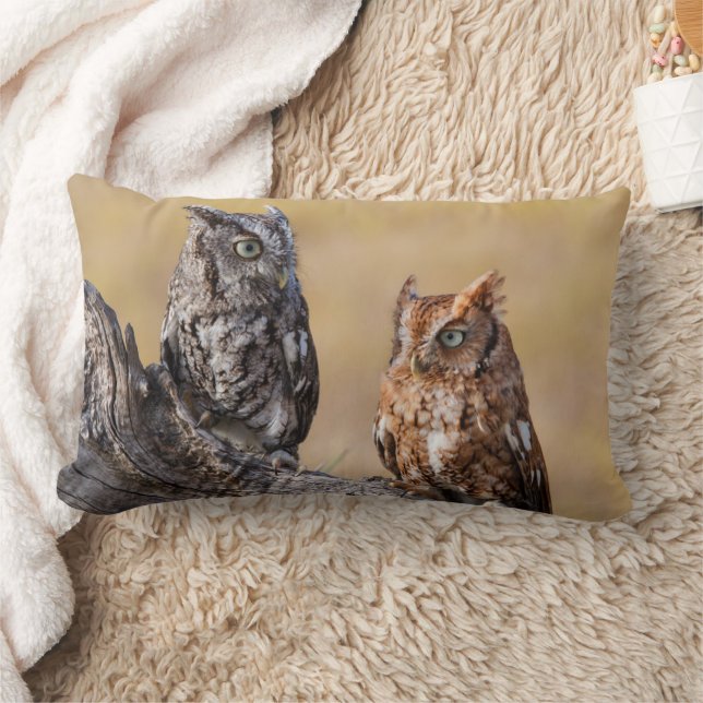 Eastern Screech Ow Roosting in Tree Lumbar Cushion (Blanket)