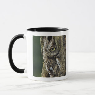 Eastern Screech Owl (Grey Phase) Otus asio Mug