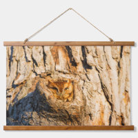 Eastern Screech-Owl