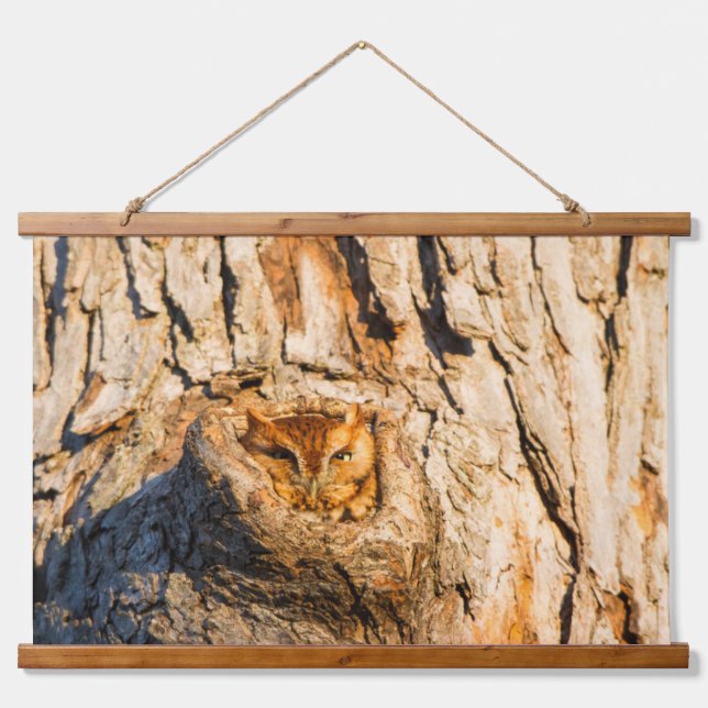 Eastern Screech-Owl Hanging Tapestry (Front)