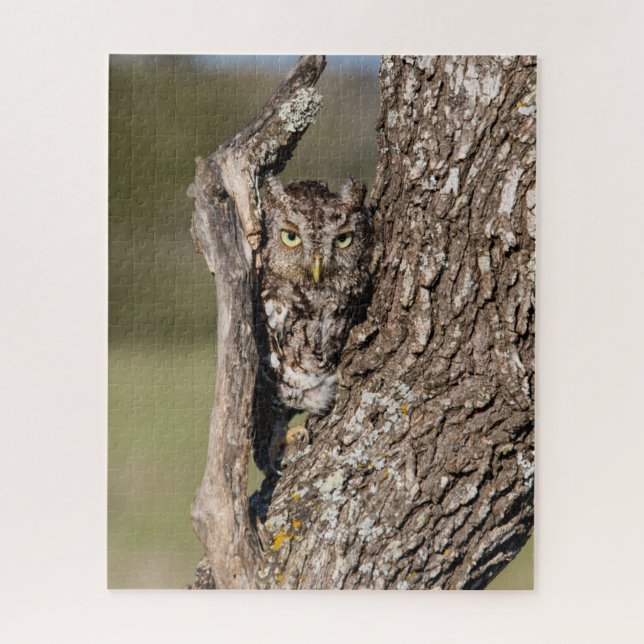 Eastern Screech Owl Jigsaw Puzzle (Vertical)