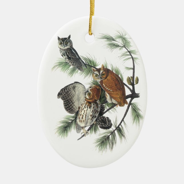 Eastern Screech Owl, John Audubon Ceramic Ornament (Front)