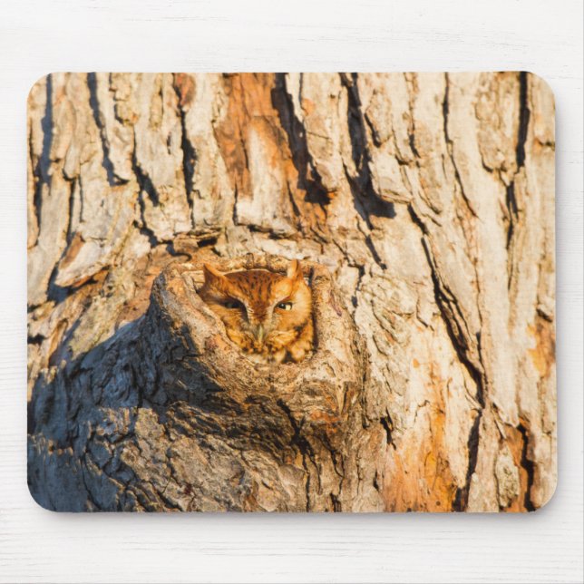 Eastern Screech-Owl Mouse Pad (Front)