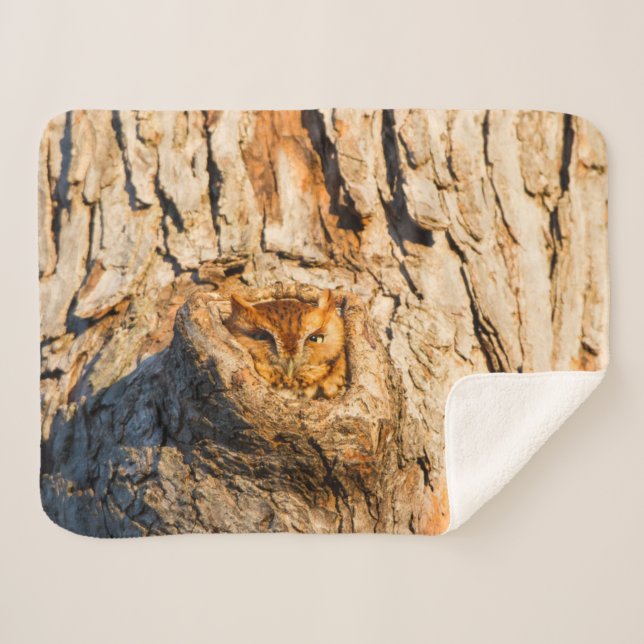 Eastern Screech-Owl Sherpa Blanket (Front (Horizontal))