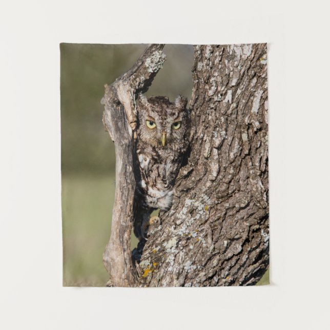 Eastern Screech Owl Tapestry (Front)