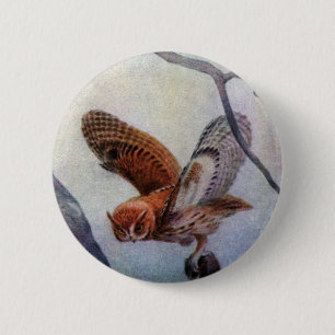 Eastern Screech Owls 6 Cm Round Badge