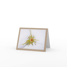 Eastern Sierra Snapshots Note Cards