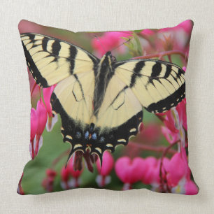 Eastern Swallowtail 2 Cushion