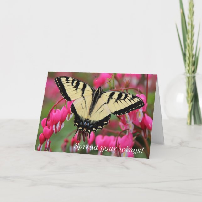 Eastern Swallowtail Holiday Card (Front)