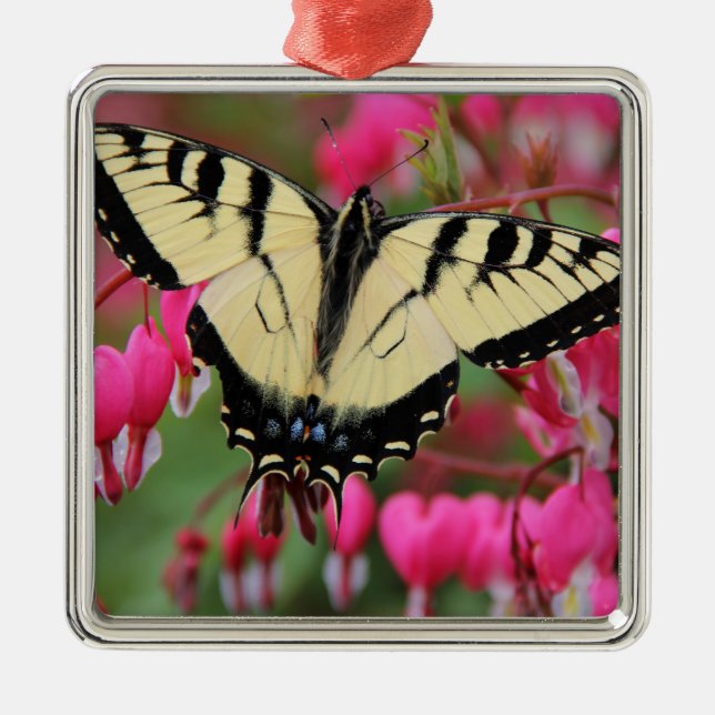 Eastern Swallowtail Metal Tree Decoration (Front)