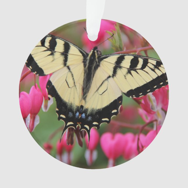 Eastern Swallowtail Ornament (Front)