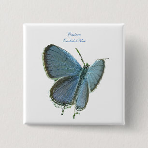 Eastern-Tailed Blue Butterfly 15 Cm Square Badge