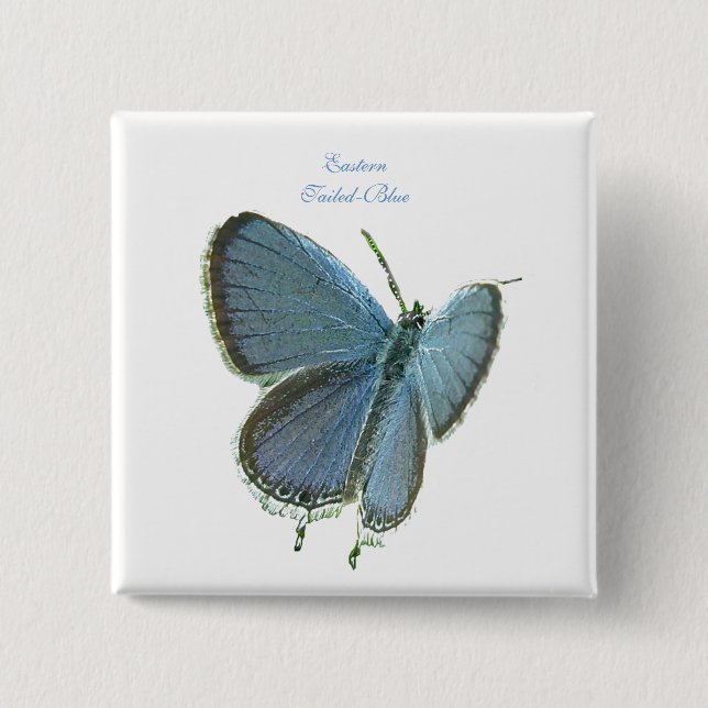 Eastern-Tailed Blue Butterfly 15 Cm Square Badge (Front)