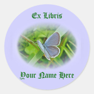 Eastern Tailed Blue Butterfly Coordinating Items Classic Round Sticker