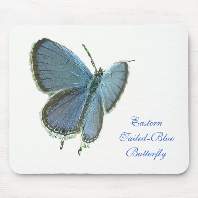 Eastern-Tailed Blue Butterfly Mouse Pad (Front)