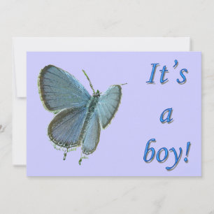 Eastern-Tailed Blue New Baby Boy Announcement