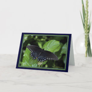 Eastern Tiger Swallowtail-Black female Holiday Card