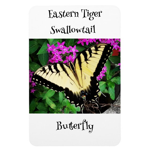 Eastern Tiger Swallowtail Butterfly #1 Magnet (Vertical)