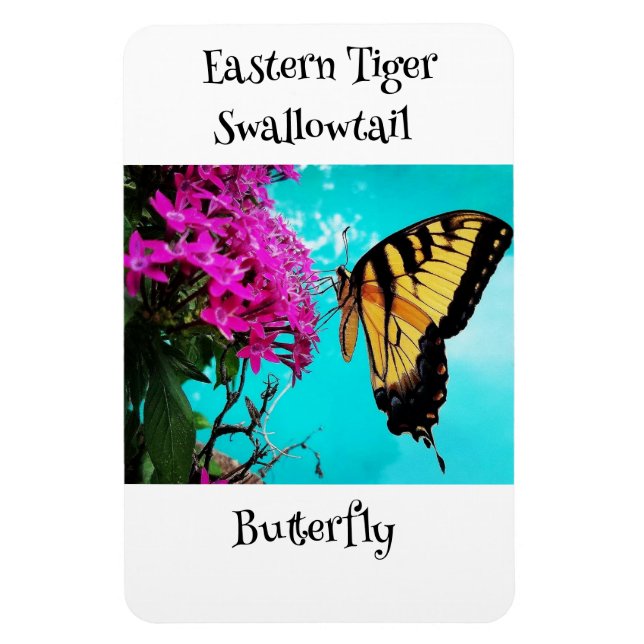 Eastern Tiger Swallowtail Butterfly #2 Magnet (Vertical)