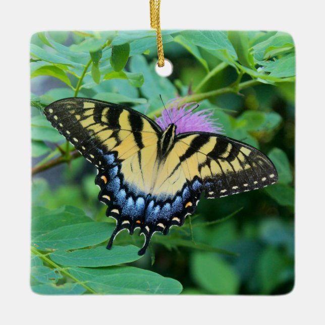 Eastern Tiger Swallowtail Butterfly Ceramic Ornament (Front)