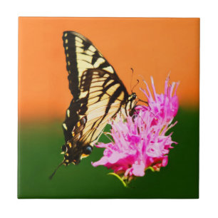 Eastern Tiger Swallowtail Butterfly Ceramic Tile