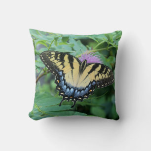 Eastern Tiger Swallowtail Butterfly Cushion