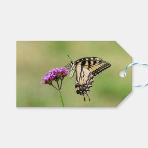 Eastern Tiger Swallowtail Butterfly Gift Tags