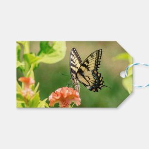 Eastern Tiger Swallowtail Butterfly Gift Tags