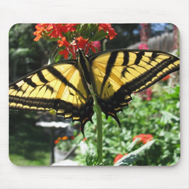 Eastern Tiger Swallowtail Butterfly Mouse Pad (Front)