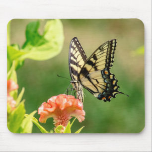 Eastern Tiger Swallowtail Butterfly Mouse Pad