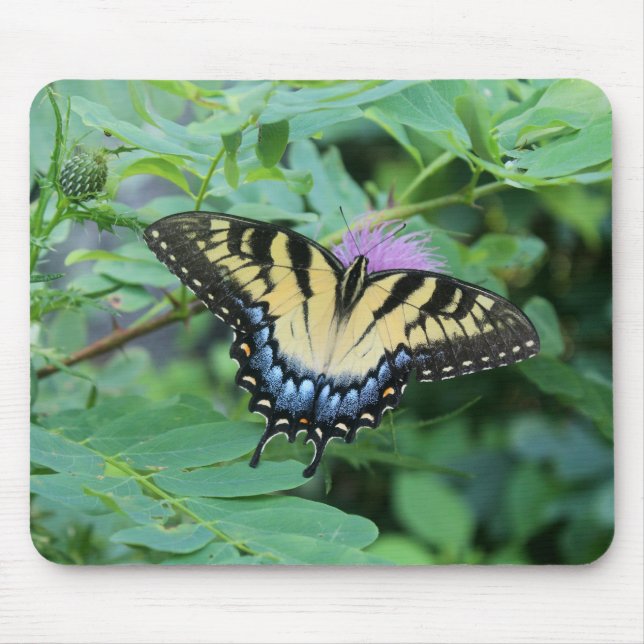 Eastern Tiger Swallowtail Butterfly Mouse Pad (Front)