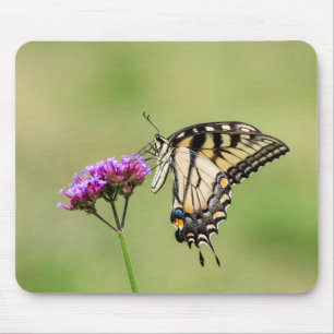 Eastern Tiger Swallowtail Butterfly Mouse Pad