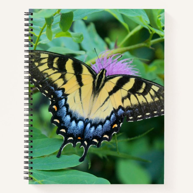 Eastern Tiger Swallowtail Butterfly Notebook (Front)