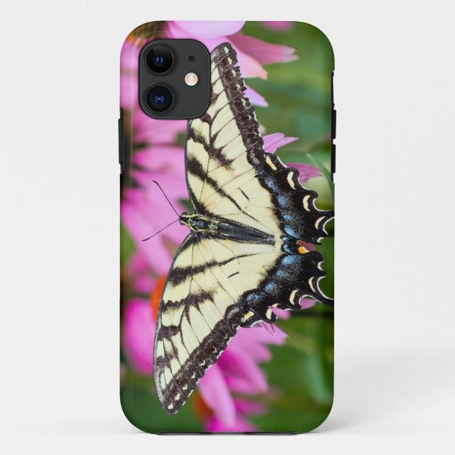 Eastern Tiger Swallowtail Butterfly On Coneflowers Case-Mate iPhone Case (Back)