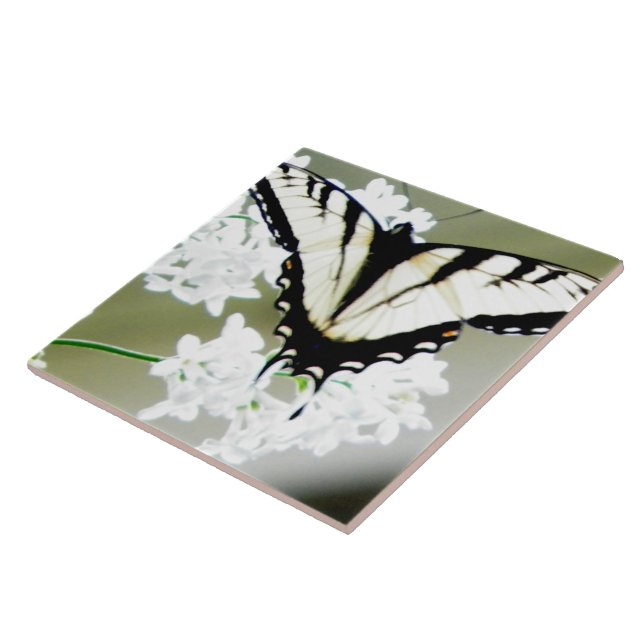 Eastern Tiger Swallowtail Butterfly Photo Ceramic Tile (Side)
