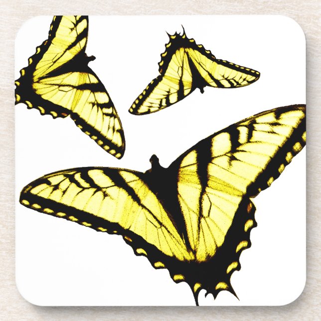 Eastern Tiger Swallowtail Butterfly Photo Coaster (Front)