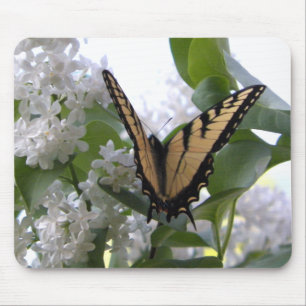 Eastern Tiger Swallowtail Butterfly Photo Mouse Pad