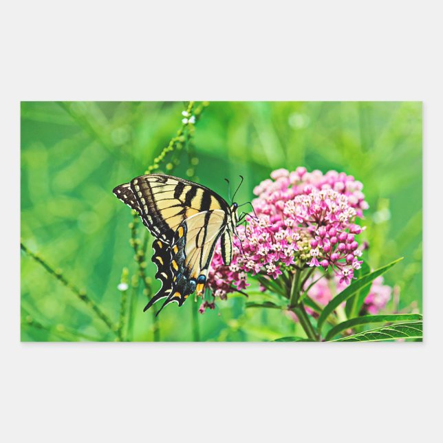 Eastern Tiger Swallowtail Butterfly Rectangular Sticker (Front)