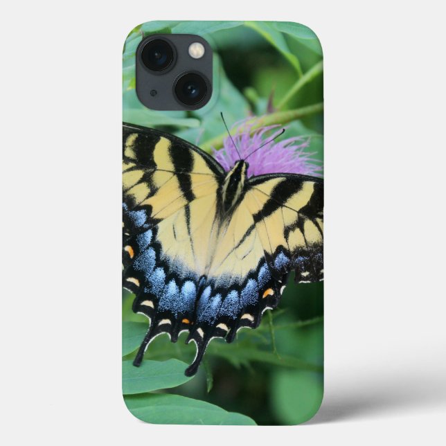 Eastern Tiger Swallowtail iPhone Cases (Back)