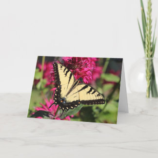 Eastern Tiger Swallowtail on bee balm Holiday Card