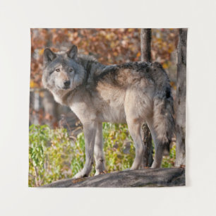 Eastern Timber Wolf  Tapestry