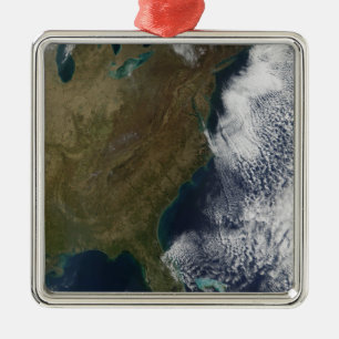 Eastern United States 2 Metal Tree Decoration