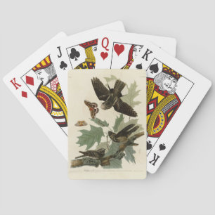 Eastern Whip-poor-will, Audubon's Birds of America Playing Cards