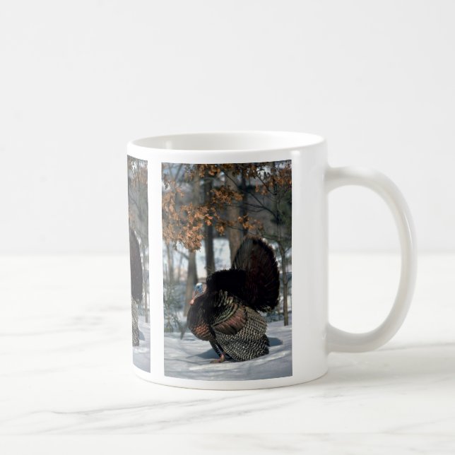 Eastern wild turkey, big gobbler strutting in snow coffee mug (Right)