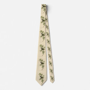 Eastern Wood Pewee from Audubon's Birds of America Tie
