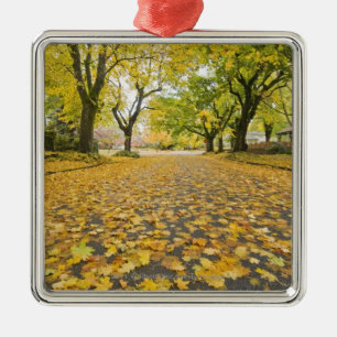 Eastmoreland In Autumn road and tree view Metal Ornament