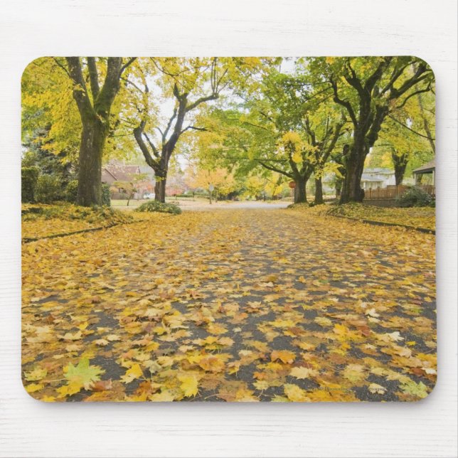 Eastmoreland In Autumn road and tree view Mouse Pad (Front)