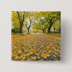 Eastmoreland Neighbourhood In Autumn 15 Cm Square Badge