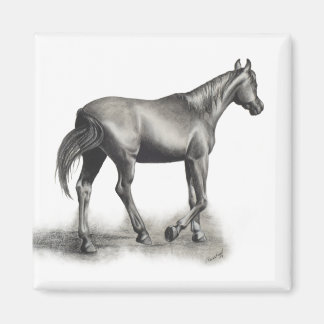 Easy Afternoon Magnet