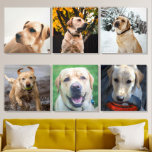 Easy Create Your Personalised 6 Photographs Acrylic Photo Tile<br><div class="desc">Tired of boring, impersonal walls? Elevate your space with Personalised 6 Photographs Photo Tiles from Ricaso Peel and stick for easy installation Customise with 6 of your favourite photos Transform any room into a personal gallery Personalise your living space with the memories that matter most. Easy Create Your Personalised 6...</div>